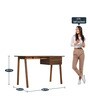 Apollo Columbian Wood Study Table in Brown Matte Finish