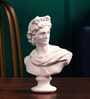 Apollo Greek Statue Resin Artefact in White