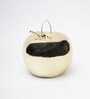 Apple  Golden Ceramic Showpieces