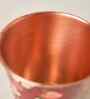 Apple Orchards Copper Tumbler, 350 ml | Kashmir Trails