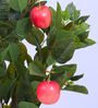 Artificial Apple Plant with Red Fruits with Black Pot