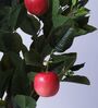 Artificial Apple Plant with Red Fruits with Black Pot