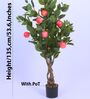Artificial Apple Plant with Red Fruits with Black Pot
