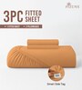 Apricot Orange Solid 400 TC Cotton Queen Sized Fitted sheet with 2 Pillow Covers