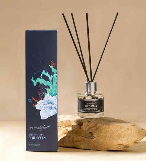 Aqua Premium Reed Diffuser 60 ML with 4 Fiber Reed Sticks