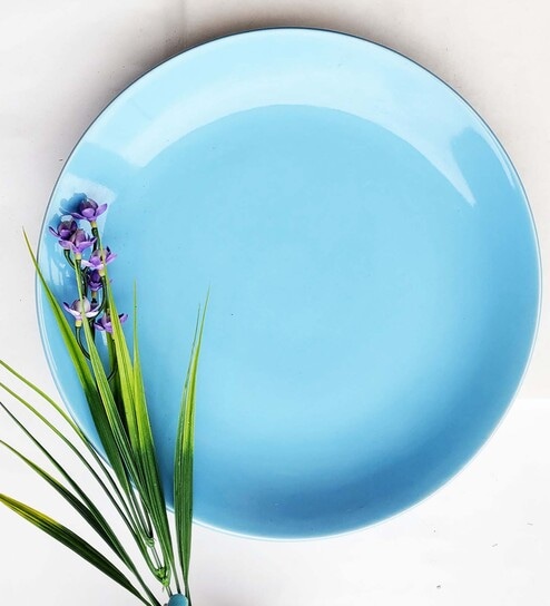 Aquarium 10 Inches Ceramic Dinning Plate