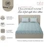 Aqua & White Glace Cotton Paisley Print Elastic Fitted King Bedsheet With 2 Pillow Covers