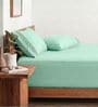 Aqua Blue 210 TC Cotton King Size Bedsheet with 2 Embroidered Pillow Covers