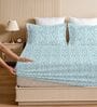 Aqua Glace Cotton Paisley Print Elastic Fitted King Bedsheet With 2 Pillow Covers