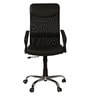 Aqua Fabric  Executive Chair in Black Colour