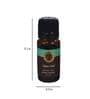 Aqua Oud Ayurveda Aroma Oil In Glass Bottle