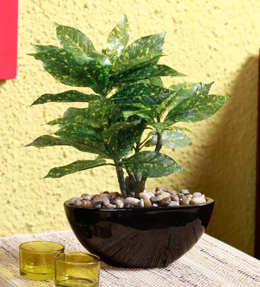 Buy Green Artificial Croton Bonsai Plant with Ceramic Pot by Fourwalls