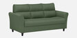 Oliver Fabric 3 Seater Sofa  In  Green Colour