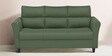 Oliver Fabric 3 Seater Sofa  In  Green Colour