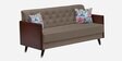 Royal Velvet 3 Seater Sofa In Brown Colour