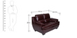 Arthur 2 Seater Sofa in Dark Brown Colour