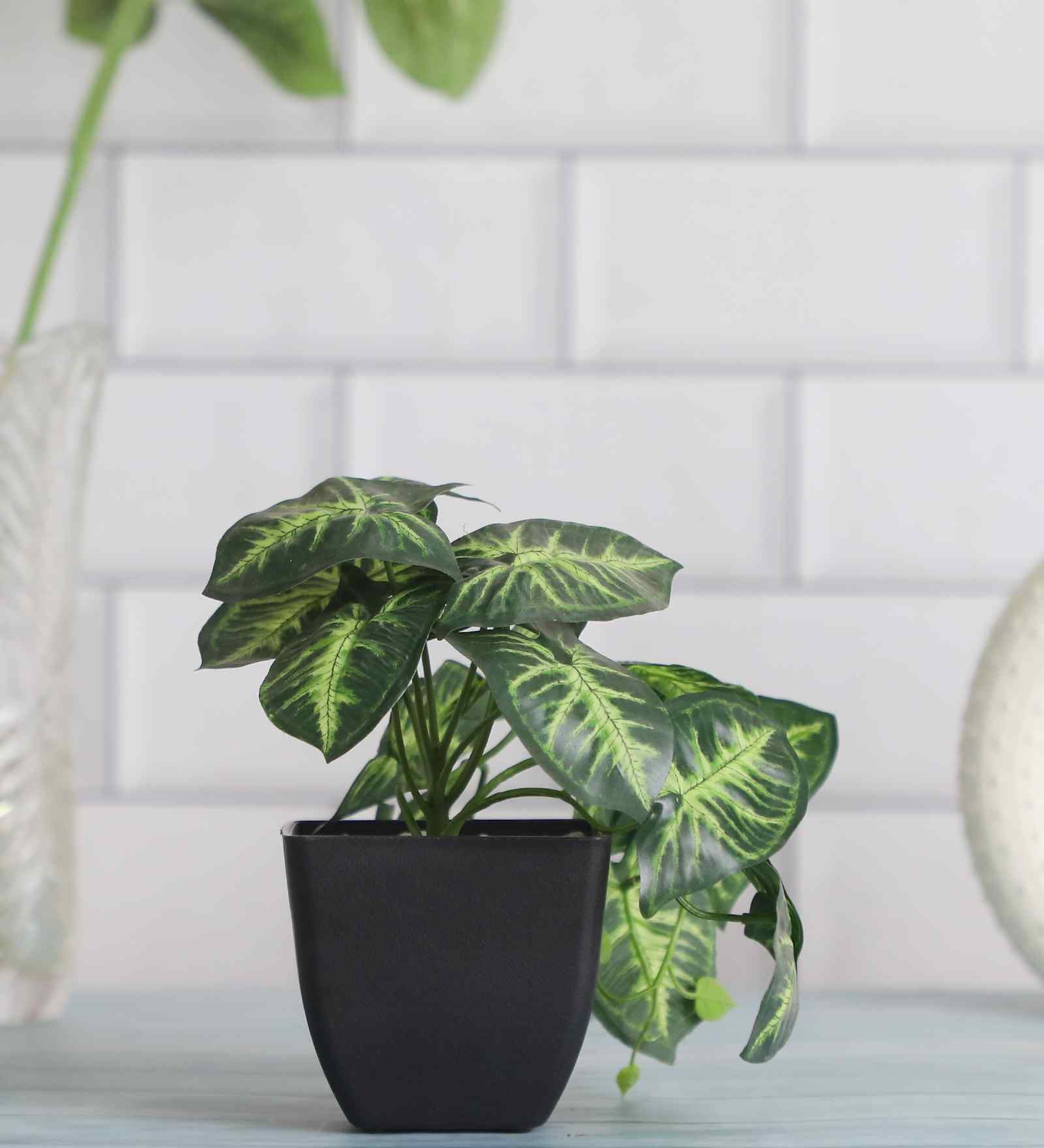 Artificial Arrowhead Plant in Black Pot