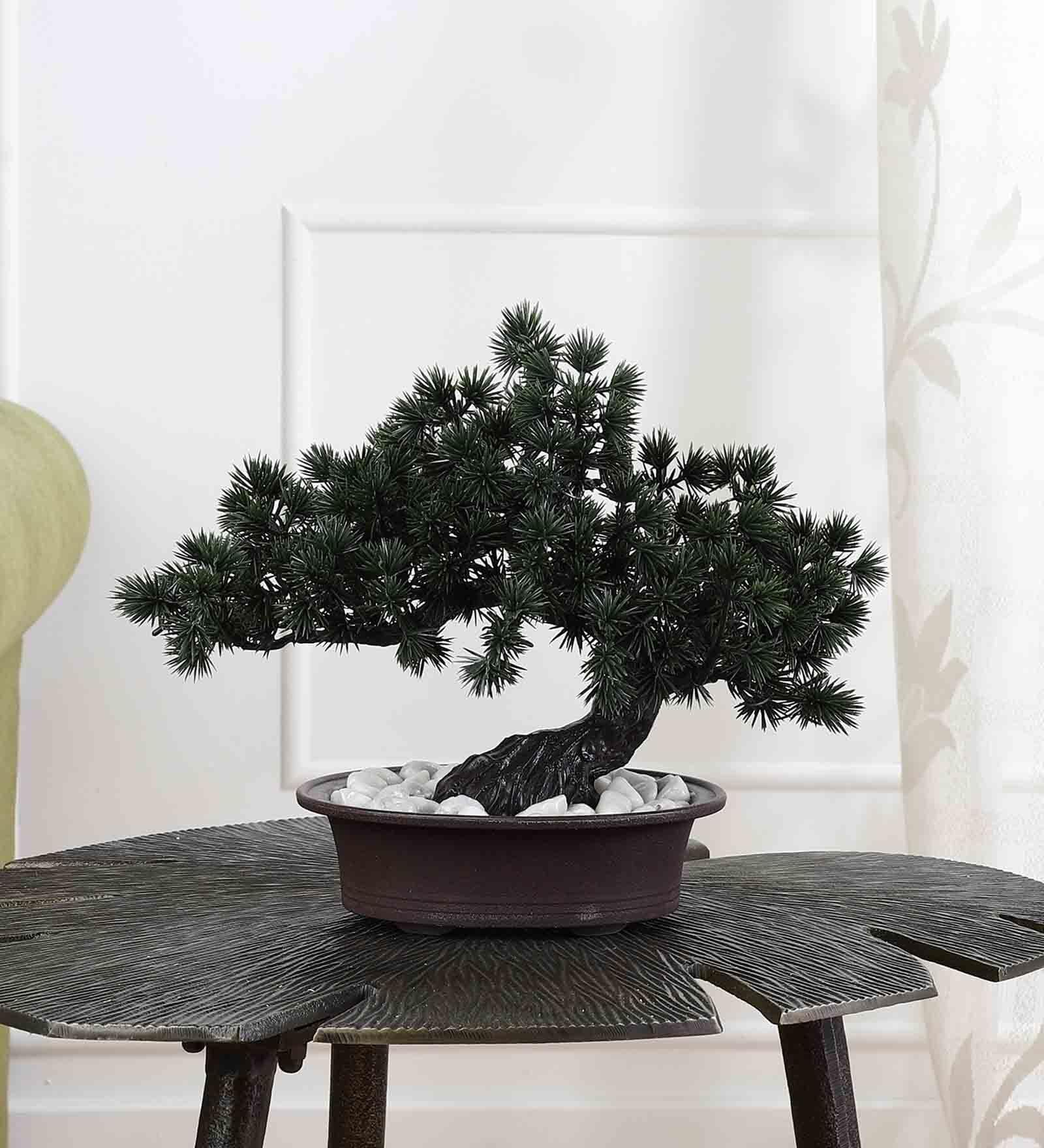 Buy Artificial Bent Bonsai Tree with Pine Leaves with Pot by Foliyaj at ...