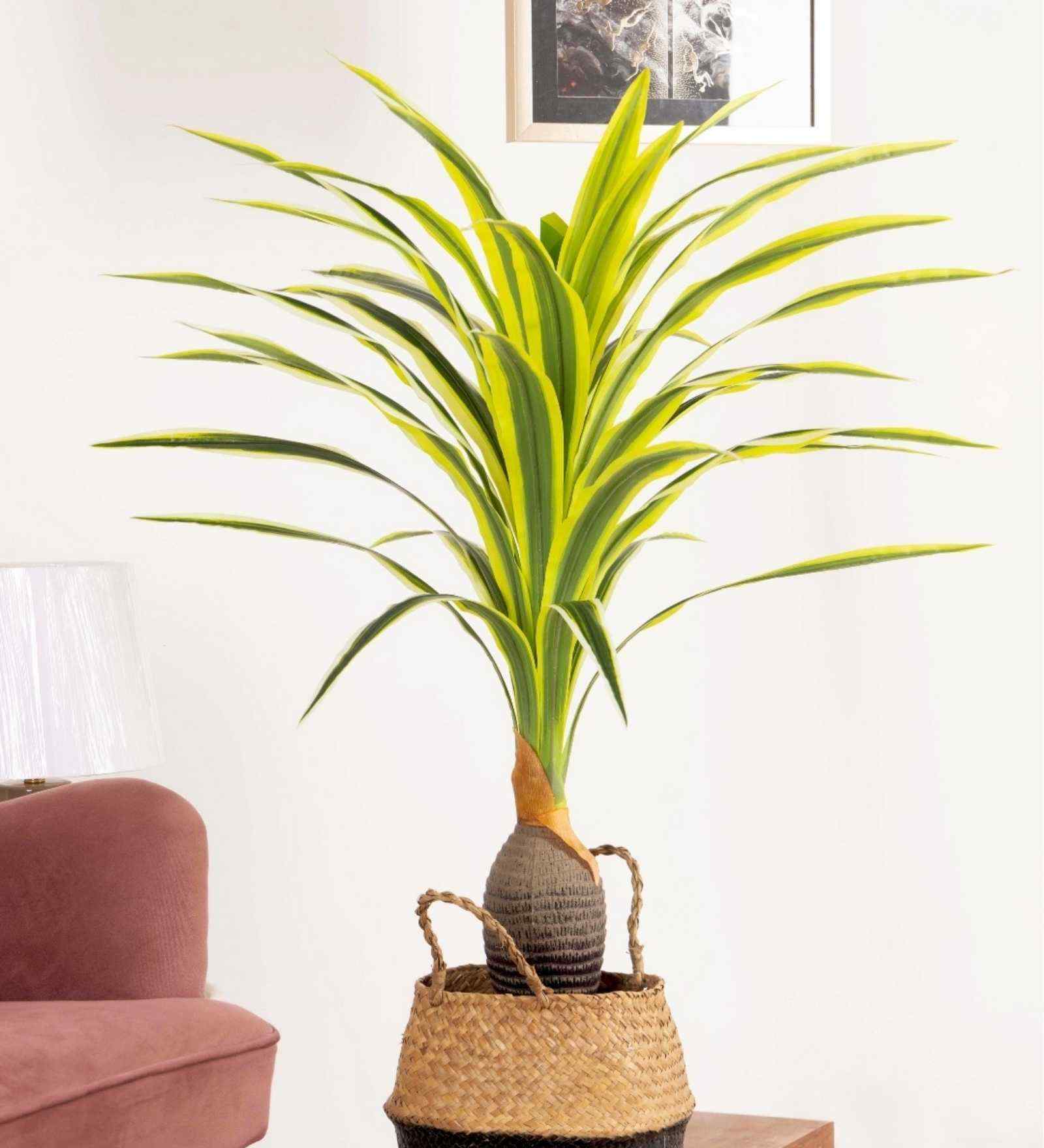Artificial Dracaena Plant (Yellow & Green) Artificial Dracaena Plant (Yellow & Green)