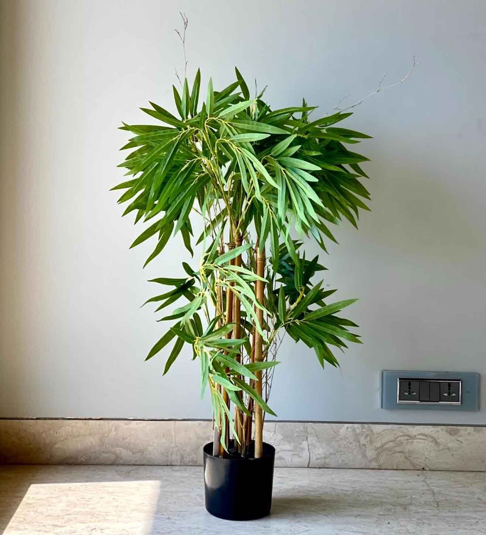 Buy Artificial Drooping Bamboo Tree 3 Feet at 33 OFF by Mason Home