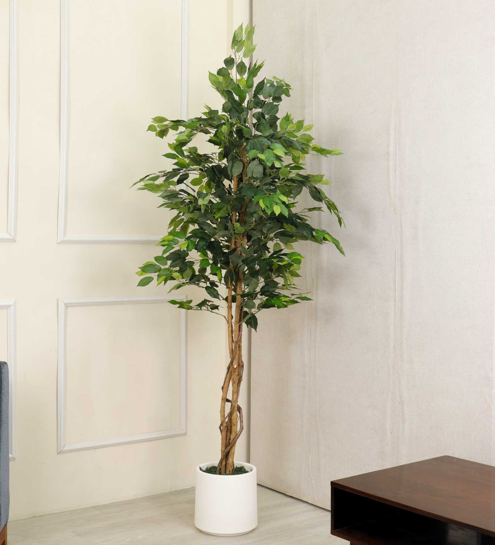 Ficus Artificial Plant