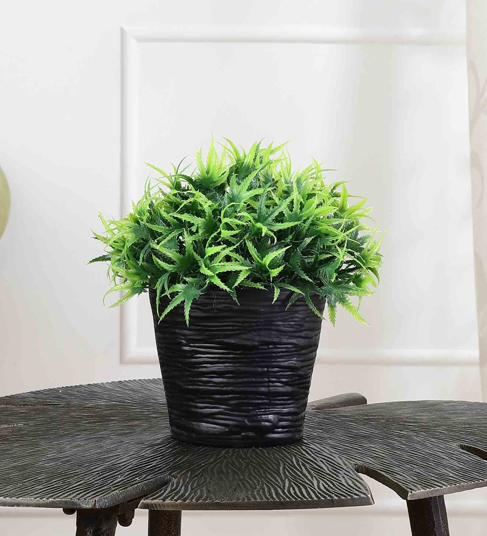 Buy Artificial Hemp Plant with Pot by Foliyaj at 58 OFF by Foliyaj