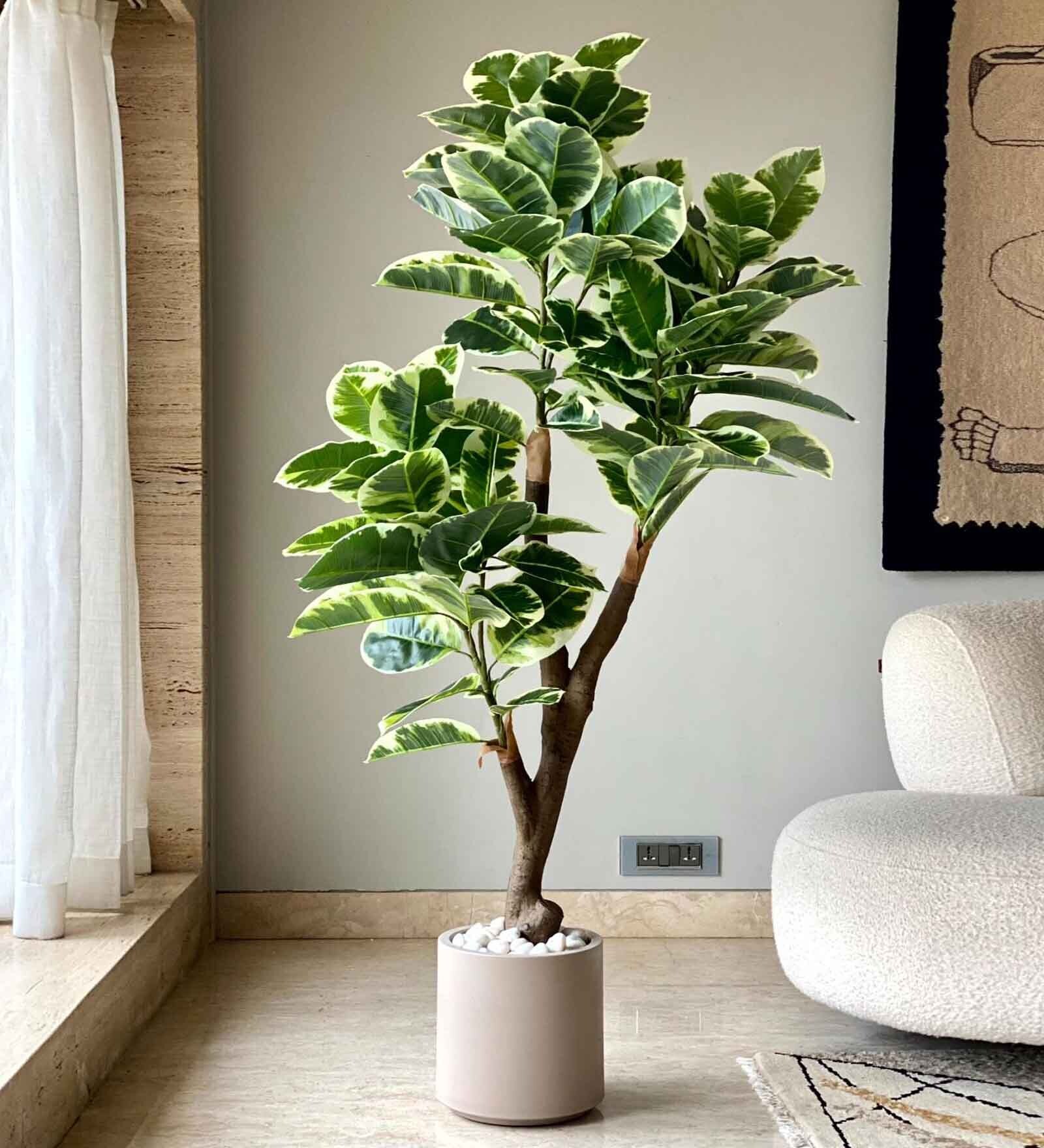 Artificial Shaded Rubber Plant