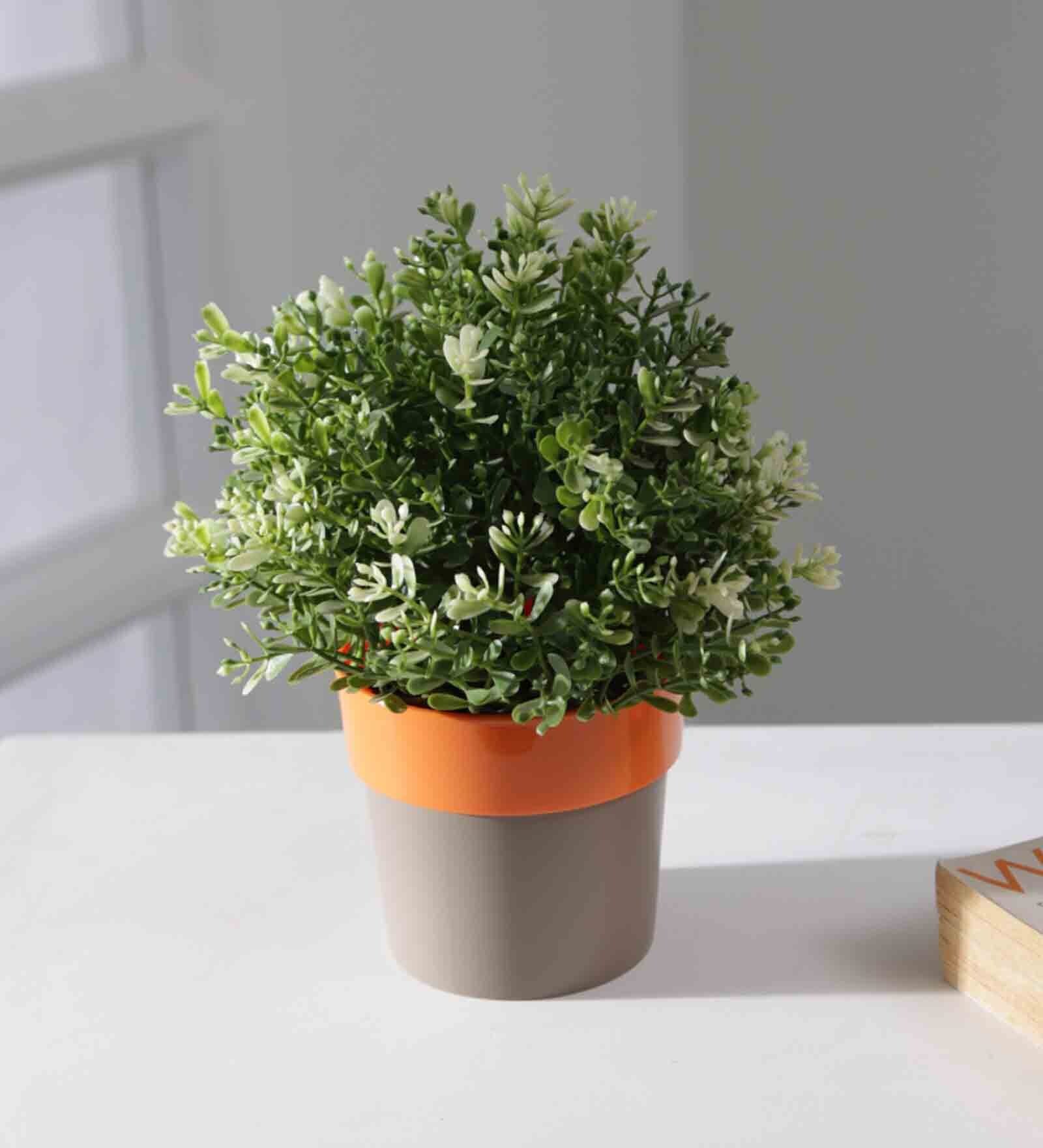 Plastic Orange Flower Desk Pots