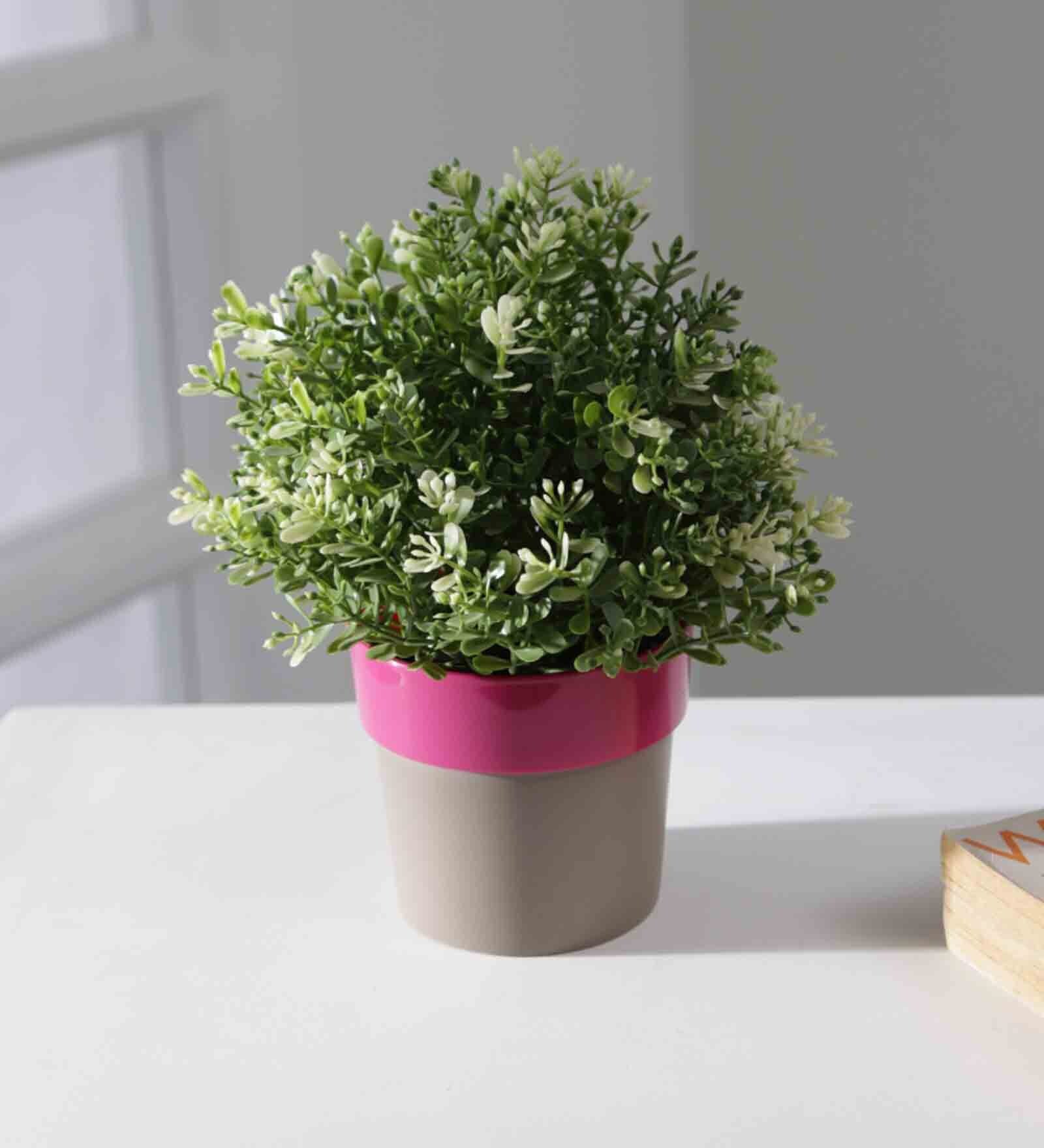 Plastic Pink Flower Desk Pots