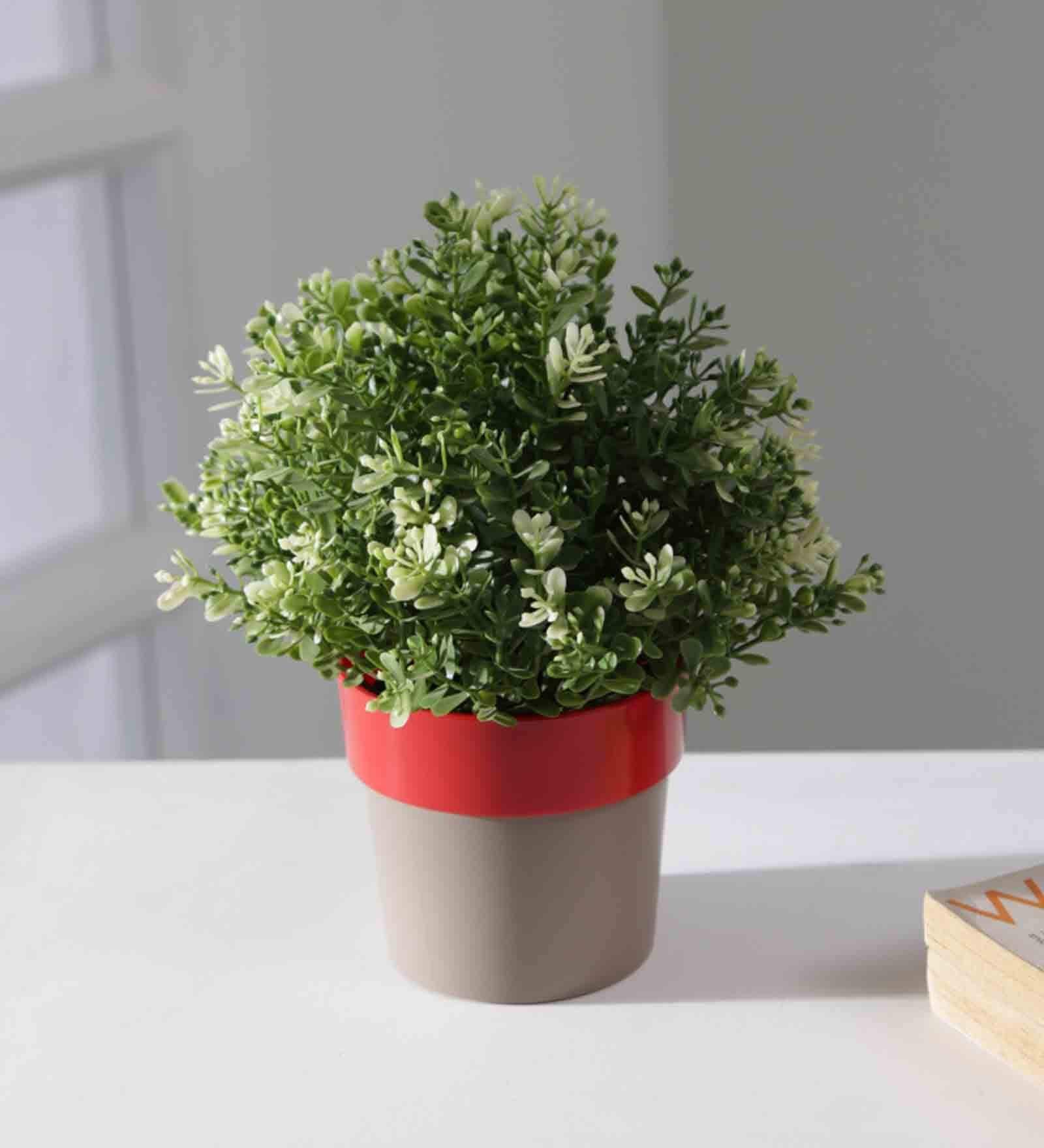 Plastic Red Flower Desk Pots