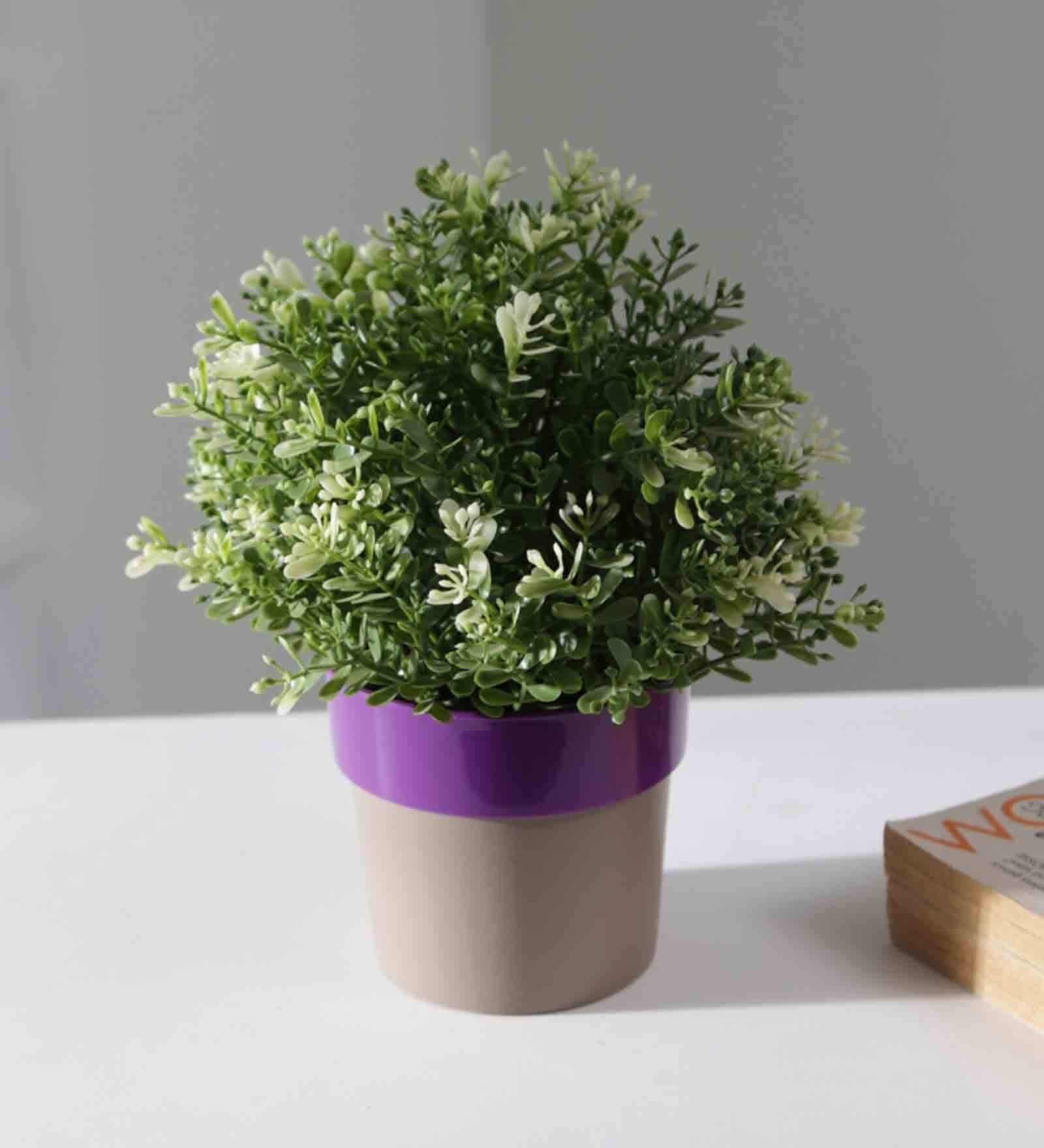 Buy Plastic Purple Flower Desk Pots at 22 OFF by Planters Pepperfry