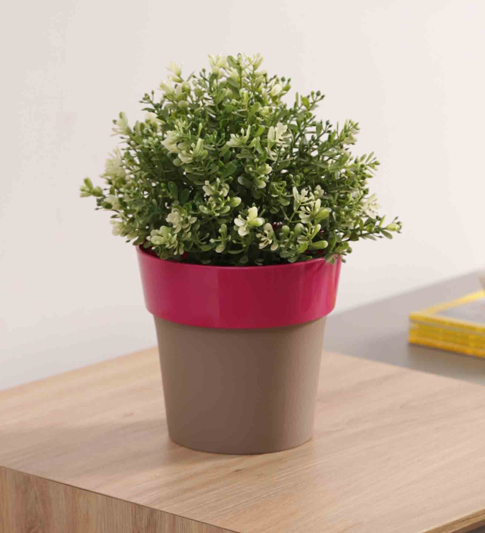 Plastic Pink Flower Desk Pots