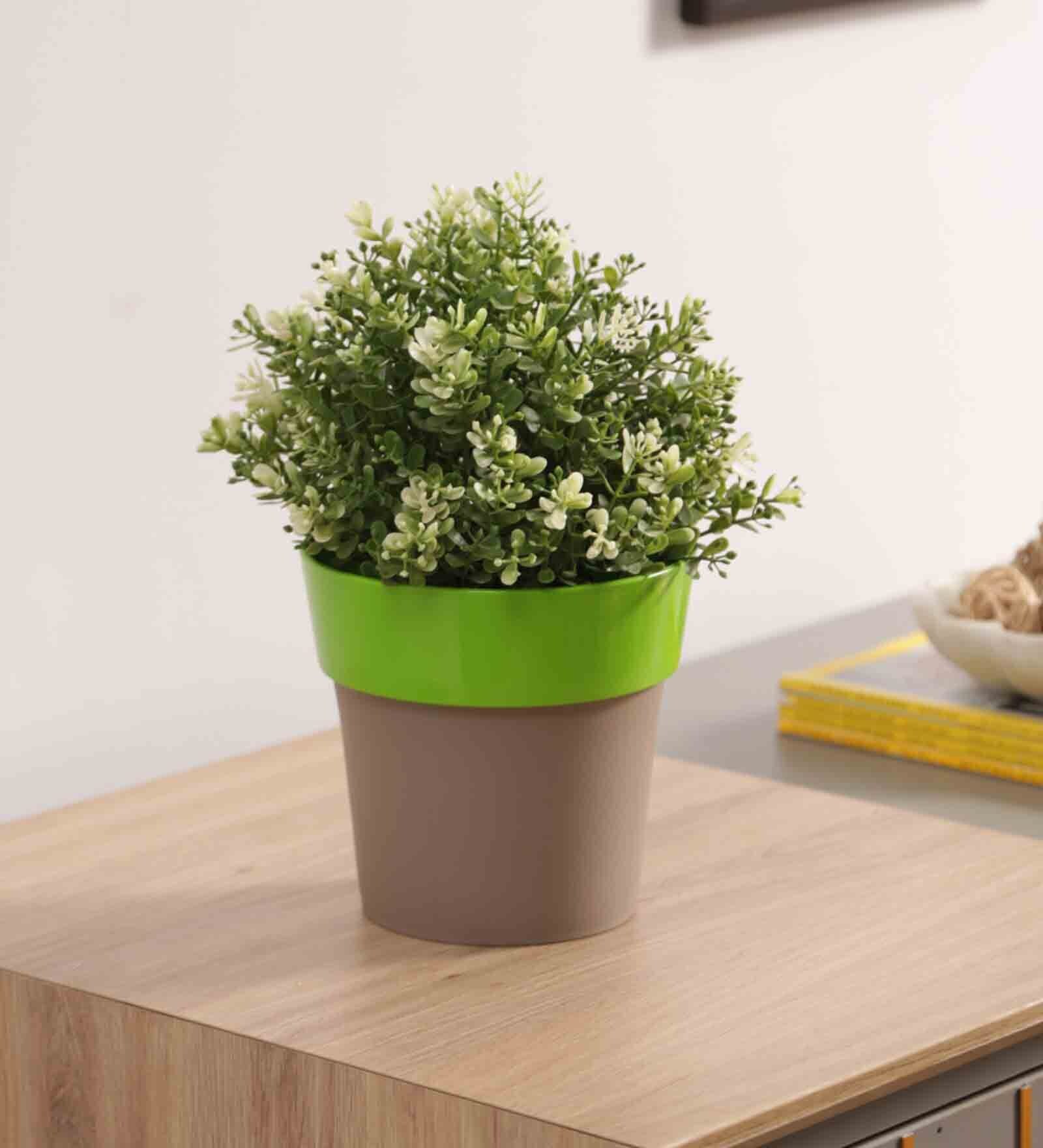 Plastic Green Flower Desk Pots