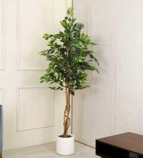 Ficus Artificial Plant