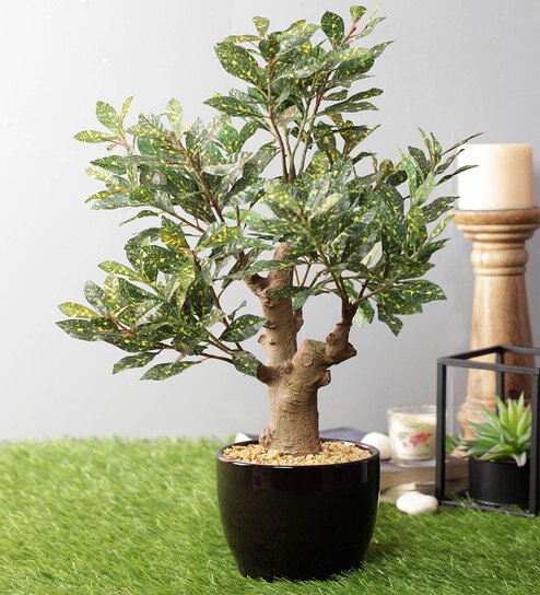 Artificial Green Yellow Croton Bonsai Plant with Pot