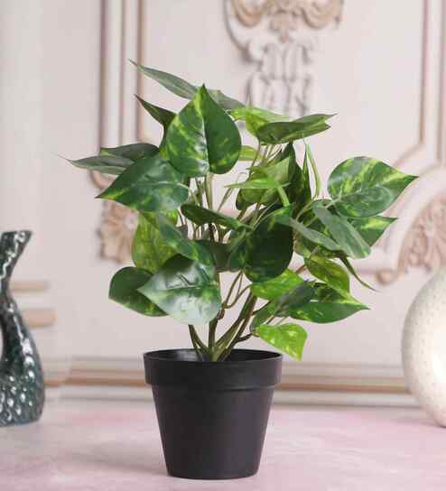 Artificial Money Plant in Black Pot