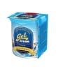 Areon Gel Car Air Freshener