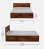 Arcadia Sheesham Wood Queen Size Bed in Brown Colour with Box Storage