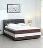Archer Queen Size Bed in White Finish with Hydraulic Storage