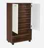 Ardor 2 Door Shoe Cabinet In Legno Oak Finish
