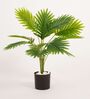 Artificial Areca Palm Tree Plant 55Cm