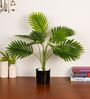 Artificial Areca Palm Tree Plant 55Cm
