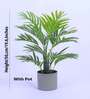 Artificial Areca Palm Plant with Black Pot