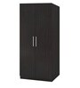 Ariana 2 Door Wardrobe in Antique Ebony Finish