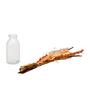 Arias Decorative Glass with Dry Flowers Brown Vase