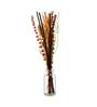 Arias Decorative Glass with Dry Flowers Brown Vase
