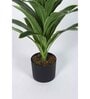 2.7Ft Artificial Dracaena Plants With Pot