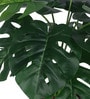 Arick Decor 21 Inch Artificial Real Touch Monstera With Black Pot