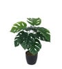 Arick Decor 21 Inch Artificial Real Touch Monstera With Black Pot
