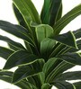 Arick Decor 33 Inch Artificial Real Touch Dracaena Plants With Black Pot